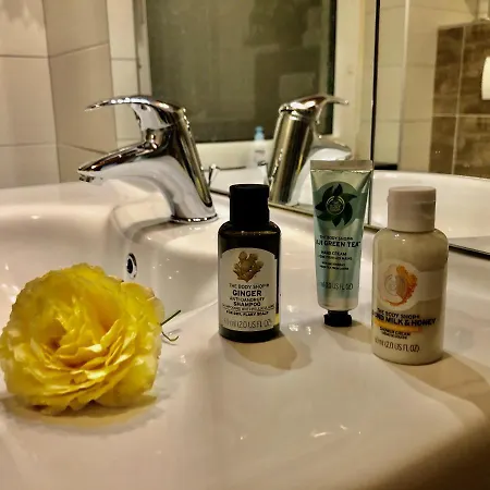 Modern Wissenbach 1 *