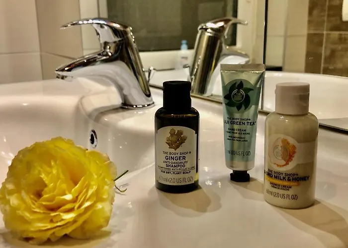 Modern Wissenbach 1 *